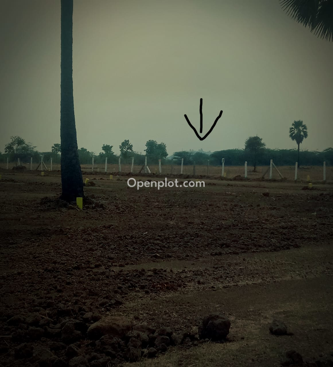Plot for Sale in Saidapuram,Yadadri Bhuvanagiri